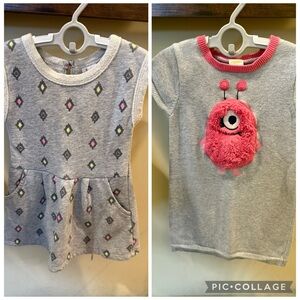 Gymboree Circo Toddler Girl Sweatshirt Dress Bundle of 2 Size 3T